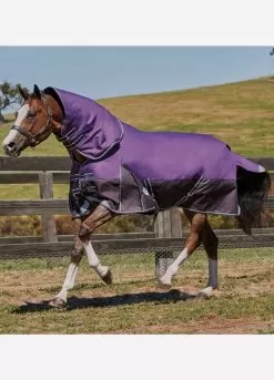 Weatherbeeta ComFiTec Plus Dynamic Detach-A-Neck Med - Purple/Black