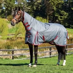 Weatherbeeta ComFiTec Plus Dynamic Combo Medium/Lite Turnout - Grey/Burgundy