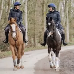 HelmetConnect Bluetooth Headphones -Equestrian Equipment Shop FE01 6 m