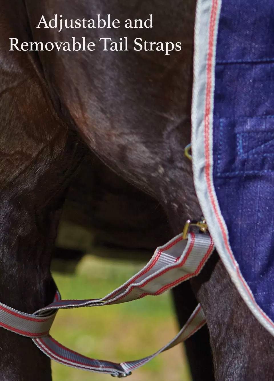 Weatherbeeta ComFiTec Essential Combo Lite Plus Turnout Rug - Navy/Silver/Red 2 Weatherbeeta ComFiTec Essential Combo Lite Plus Turnout Rug - Navy/Silver/Red - Image 2
