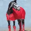 Amigo Jersey Cooler Rug - Red/White/Green
