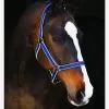 Amigo Headcollar - Navy/Silver