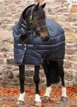 Amigo Insulator All-In-One Heavy - Navy/Plum