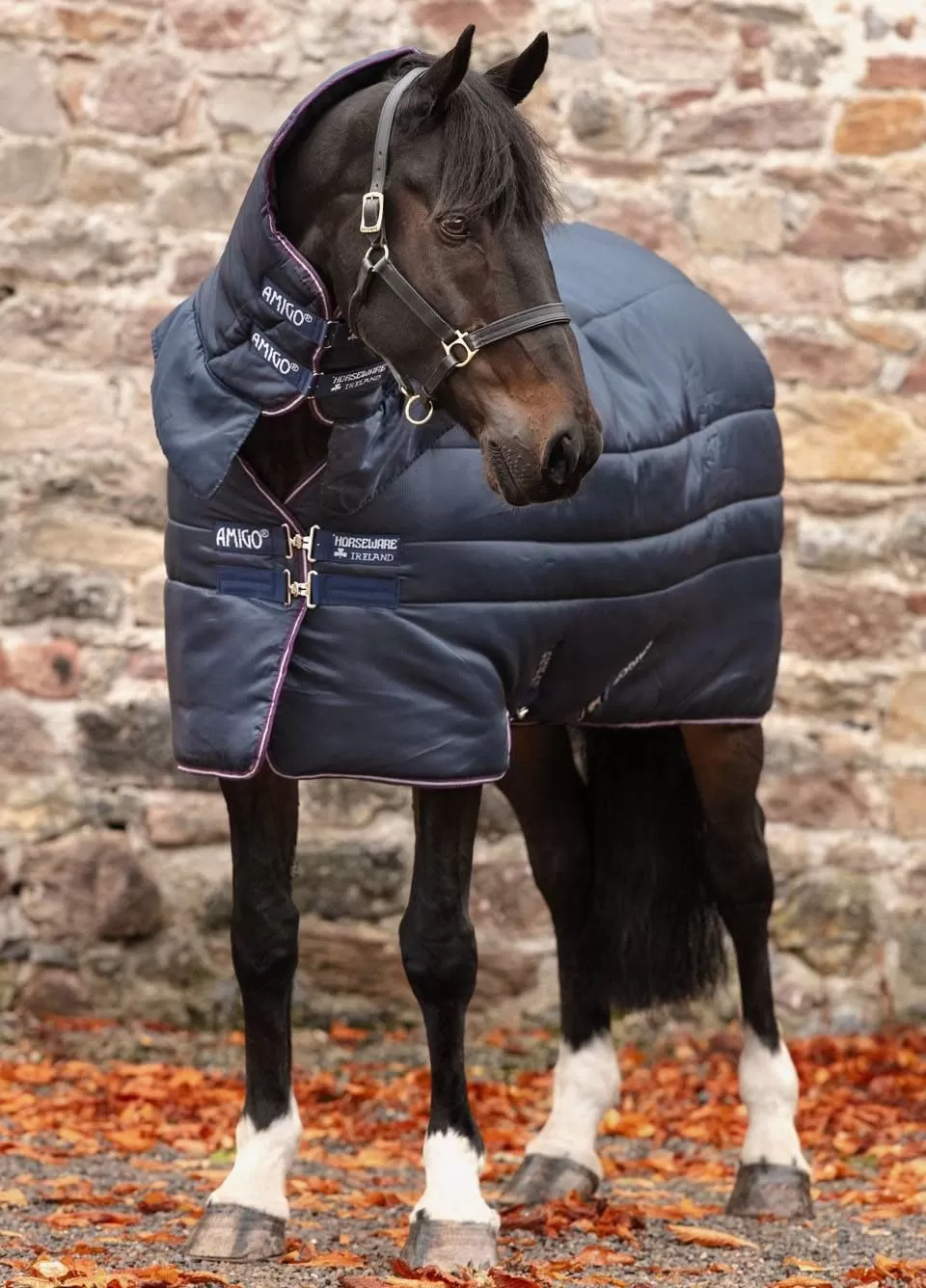 Amigo Insulator All-In-One Heavy - Navy/Plum 1 Amigo Insulator All-In-One Heavy - Navy/Plum