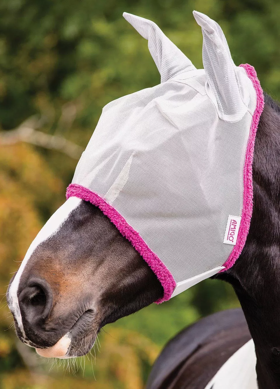 Amigo Fly Mask - Silver/Purple 1 Amigo Fly Mask - Silver/Purple