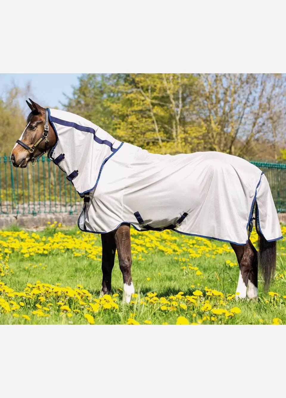 Amigo Mio Pony Fly Rug - Bronze/Navy 1 Amigo Mio Pony Fly Rug - Bronze/Navy