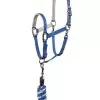 Anky Halter & Lead - Queens Blue