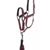 Anky Halter & Lead - Tawny Port