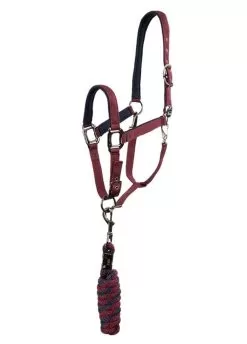 Anky Halter & Lead - Tawny Port