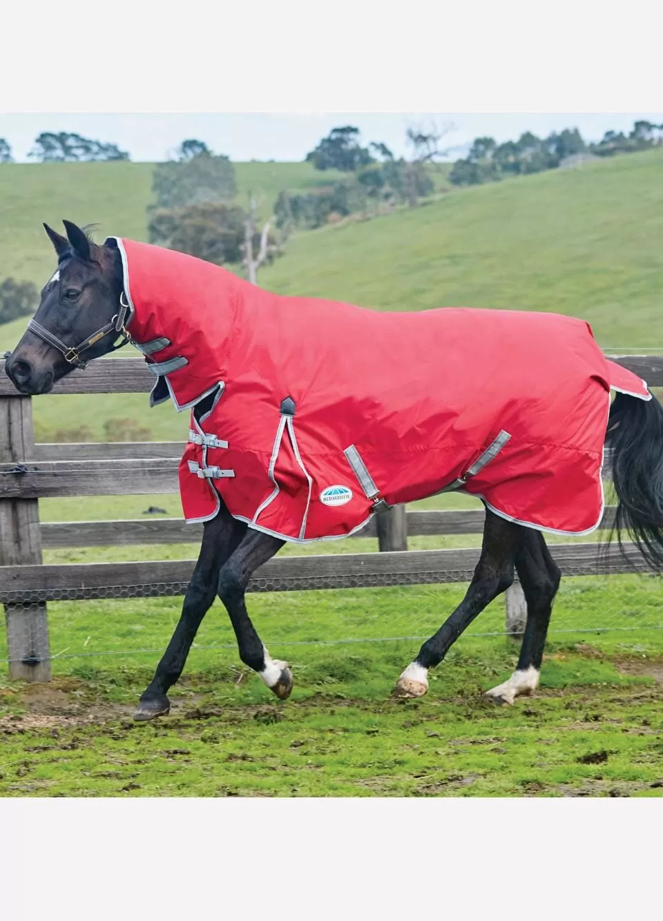WeatherBeeta ComFiTec Classic Combo Neck Lite - Red/Silver/Navy 1 WeatherBeeta ComFiTec Classic Combo Neck Lite - Red/Silver/Navy