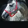 Horseware Fieldsafe Headcollar - Red