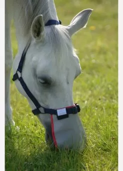 Equilibrium Field Relief Muzzle Protector - Grey