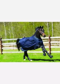 Amigo Bravo 12 100g Turnout Rug - Navy/Electric Blue