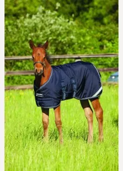 Amigo Foal Turnout/Stable Rug - Navy