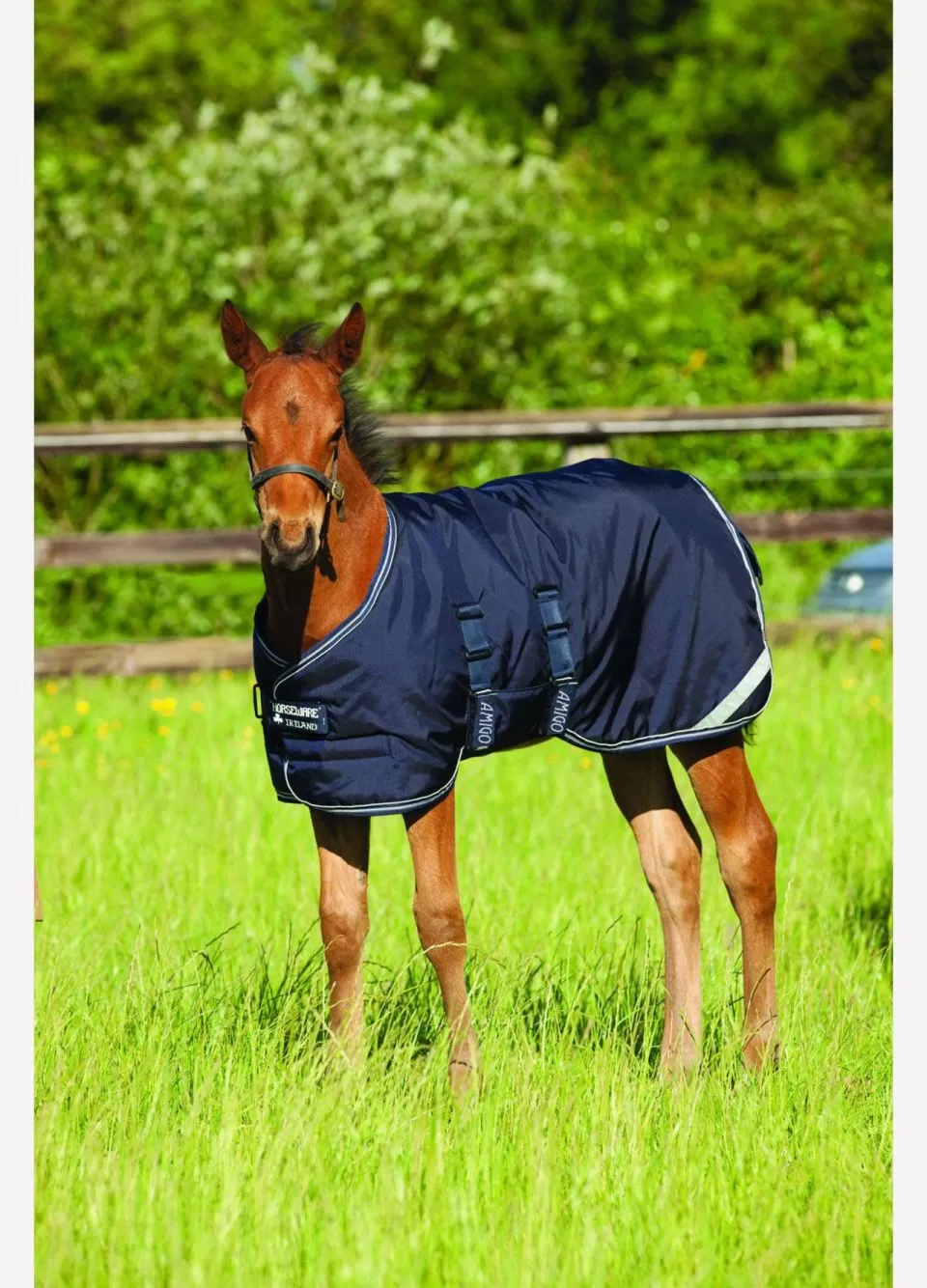 Amigo Foal Turnout/Stable Rug - Navy 1 Amigo Foal Turnout/Stable Rug - Navy