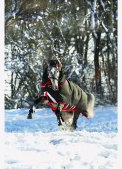 Rambo Supreme Vari-Layer Heavy Turnout Rug 450g - Black/Red -Equestrian Equipment Shop fm 2014 01 15 04 32 32 78792