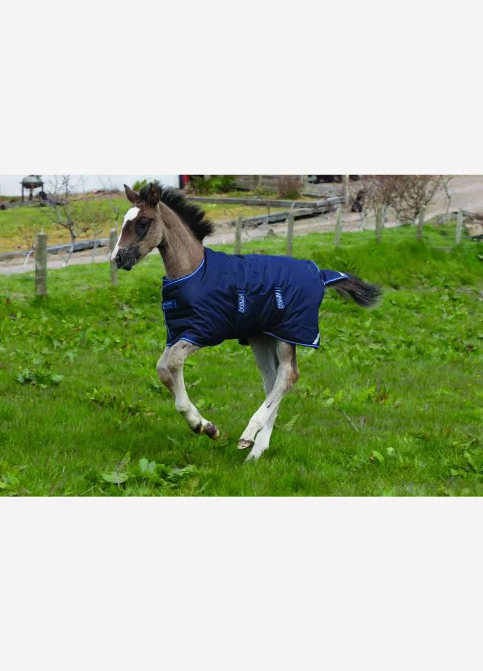 Amigo Foal Turnout/Stable Rug - Navy 2 Amigo Foal Turnout/Stable Rug - Navy - Image 2