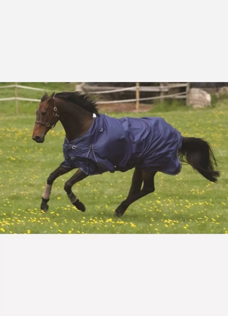 Mark Todd Lightweight Turnout Rug - Navy 1 Mark Todd Lightweight Turnout Rug - Navy