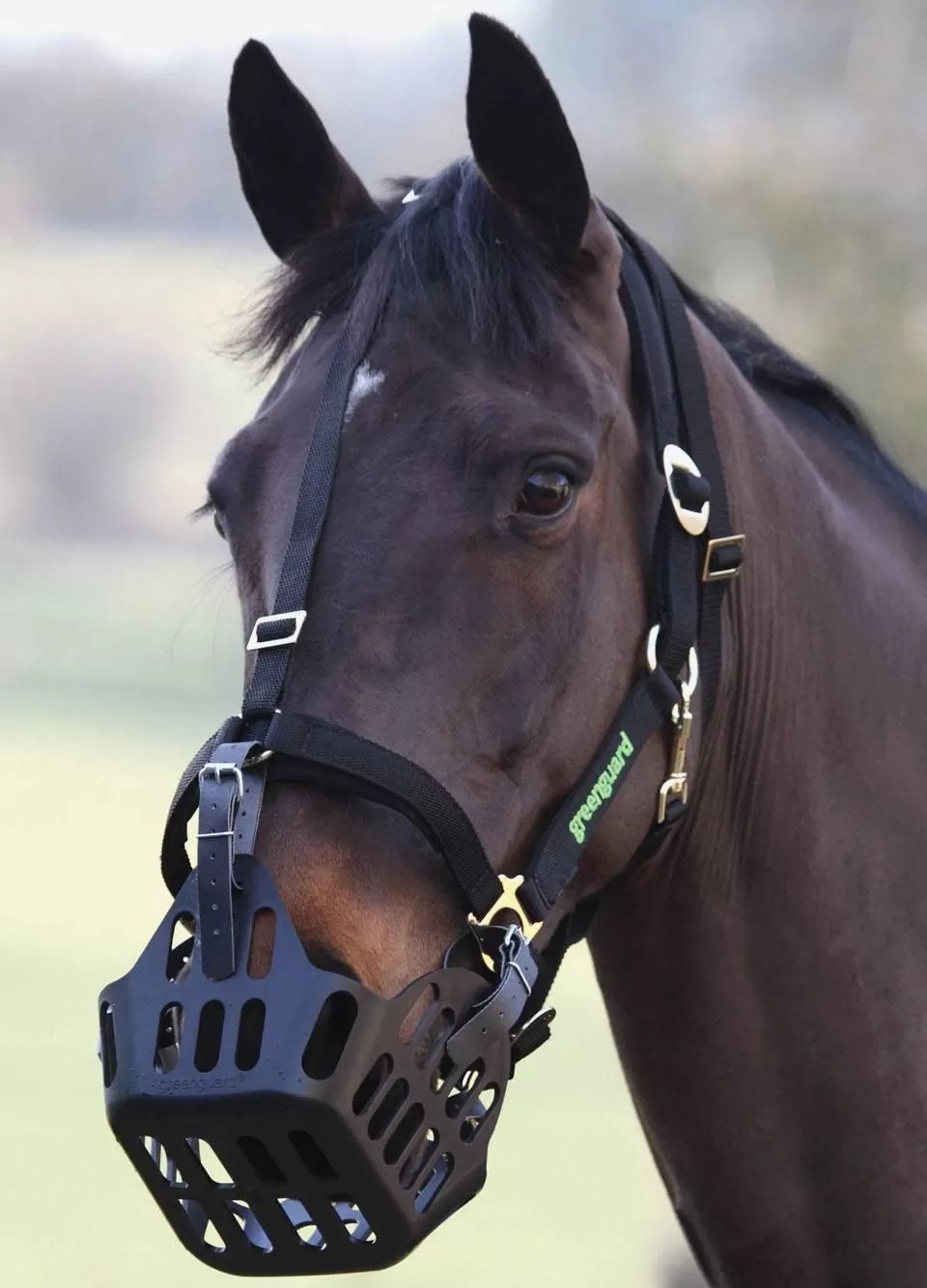 Greenguard Muzzle - Black 1 Greenguard Muzzle - Black