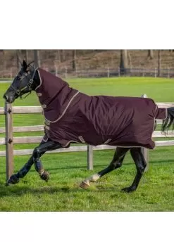 Amigo Hero Ripstop Plus 100g - Fig