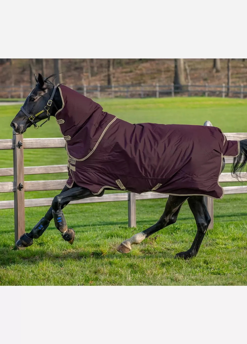 Amigo Hero Ripstop Plus Turnout Rug Lite 0g - Fig 1 Amigo Hero Ripstop Plus Turnout Rug Lite 0g - Fig