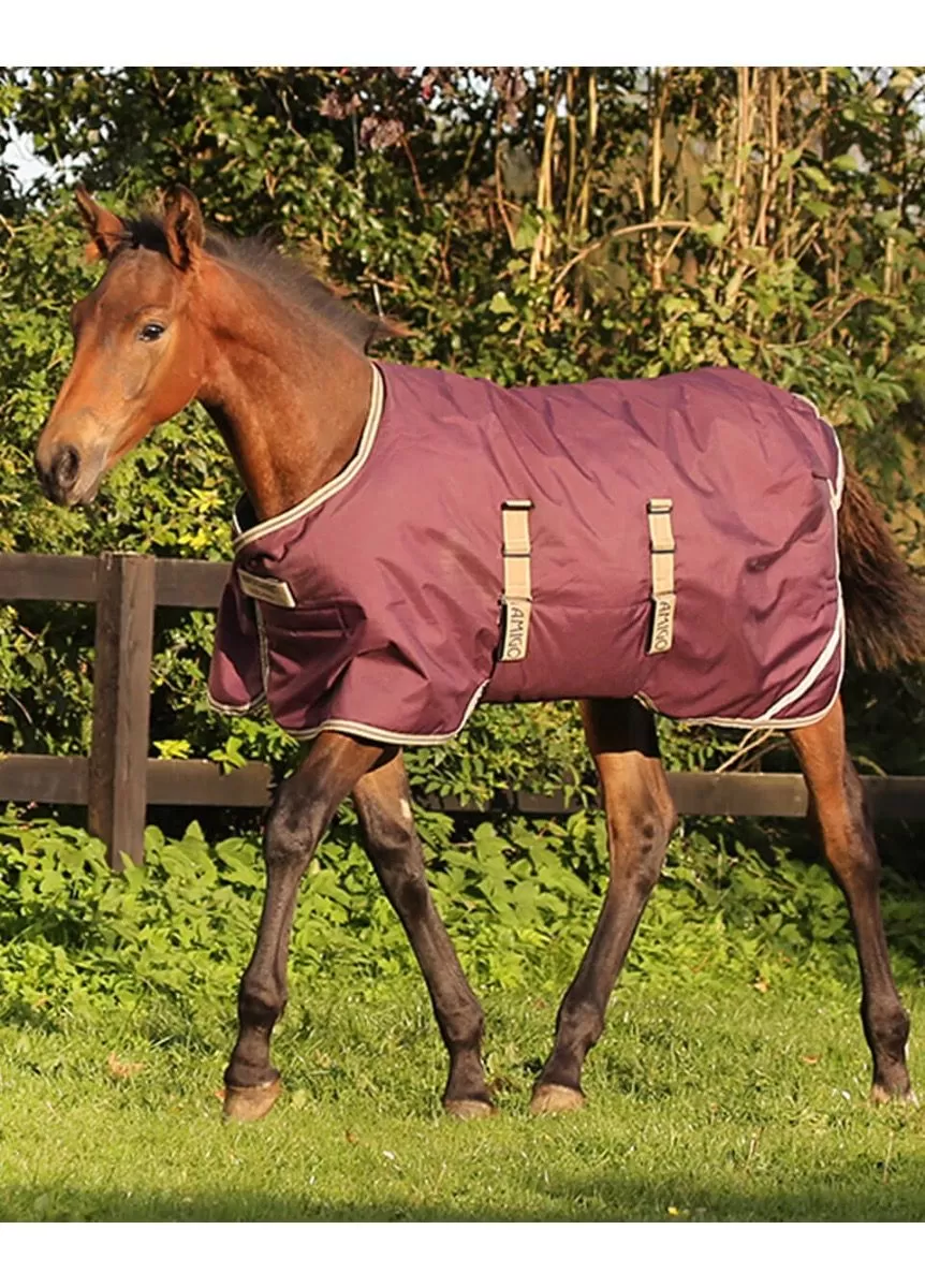 Horseware Ripstop Foal Rug - Fig/Navy/Tan 1 Horseware Ripstop Foal Rug - Fig/Navy/Tan
