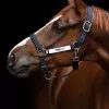 Horseware Fieldsafe Headcollar - Navy