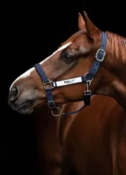 Horseware Fieldsafe Headcollar - Navy