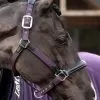 LeMieux Capella Headcollar - Fig