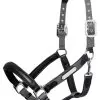 LeMieux Capella Headcollar - Grey