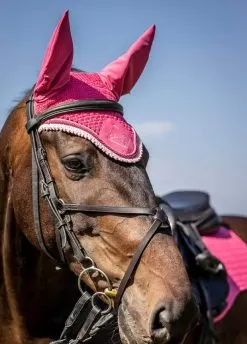 LeMieux Classic Fly Hood - Watermelon -Equestrian Equipment Shop lemieux fly hood watermelon 3rdy