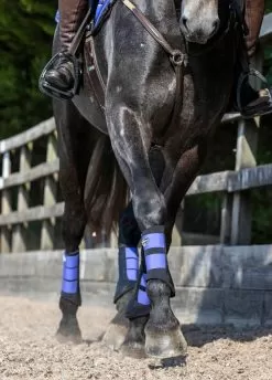 LeMieux Grafter Brushing Boots - Bluebell -Equestrian Equipment Shop lemieux grafter boot bluebell 7rdy