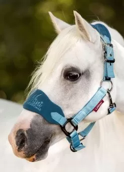 LeMieux Mini Vogue Headcollar & Leadrope - Marine