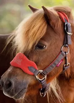 LeMieux Mini Vogue Headcollar & Leadrope - Sienna