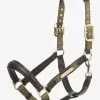 LeMieux Capella Headcollar - Forest
