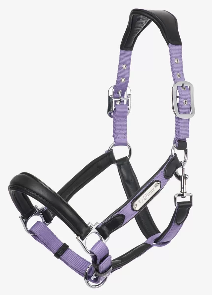 LeMieux Capella Headcollar - Iris 1 LeMieux Capella Headcollar - Iris
