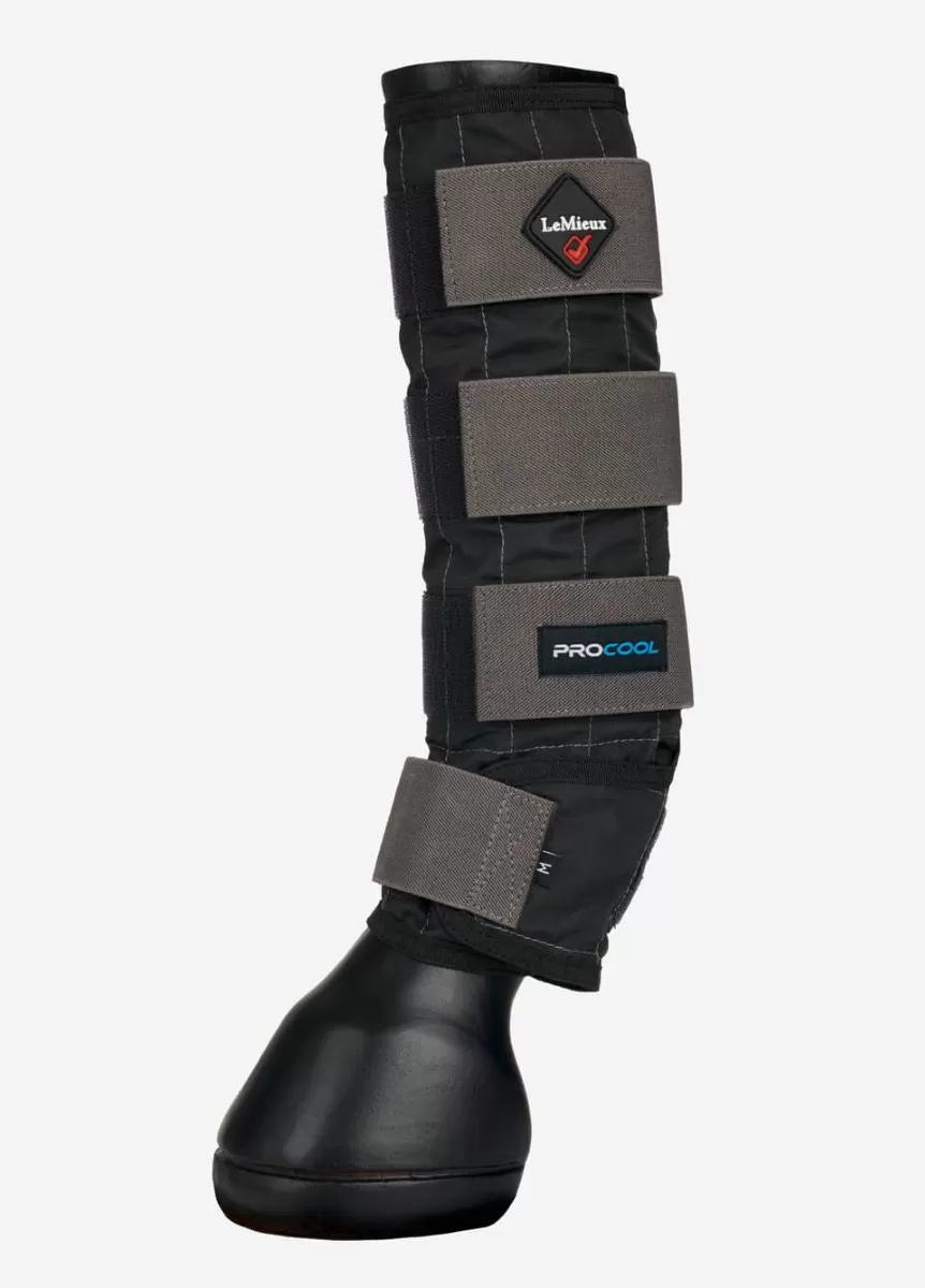 LeMieux Cold Water Boots - Black 1 LeMieux Cold Water Boots - Black