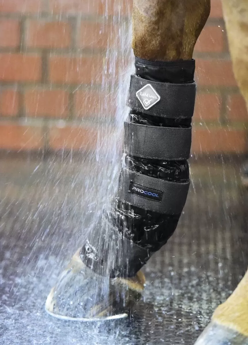 LeMieux Cold Water Boots - Black 2 LeMieux Cold Water Boots - Black - Image 2