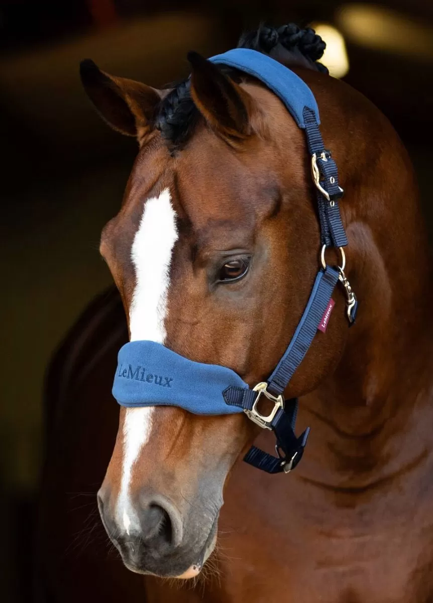 LeMieux Vogue Fleece Headcollar & Leadrope - Atlantic 2 LeMieux Vogue Fleece Headcollar & Leadrope - Atlantic - Image 2