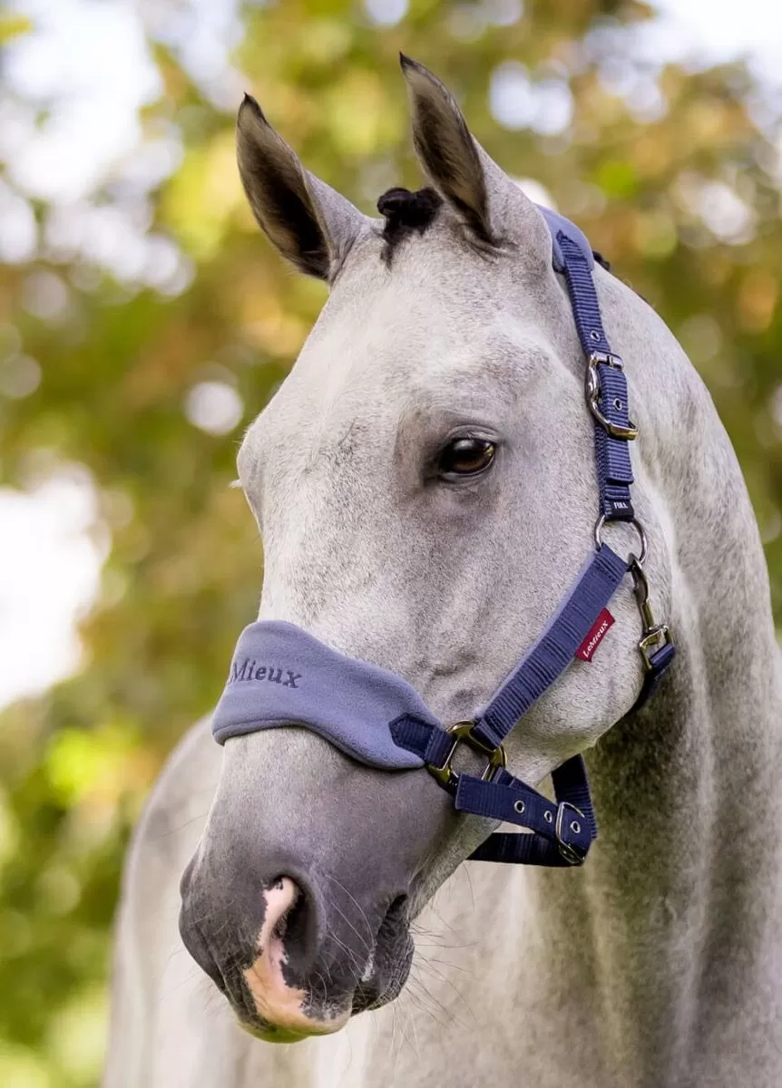 LeMieux Vogue Fleece Headcollar & Leadrope - Indigo 2 LeMieux Vogue Fleece Headcollar & Leadrope - Indigo - Image 2