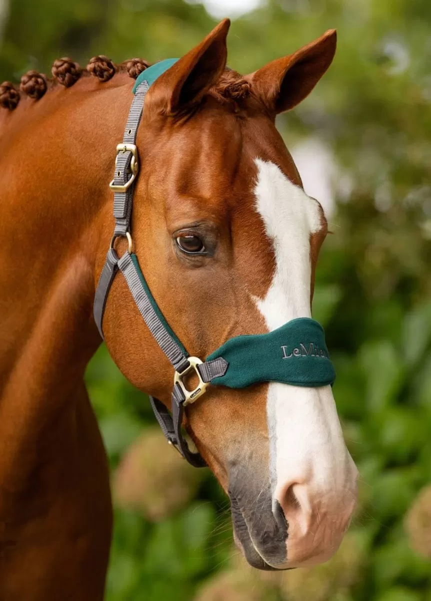 LeMieux Vogue Fleece Headcollar & Leadrope - Spruce 2 LeMieux Vogue Fleece Headcollar & Leadrope - Spruce - Image 2