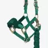 LeMieux Mini Vogue Headcollar & Leadrope - Evergreen