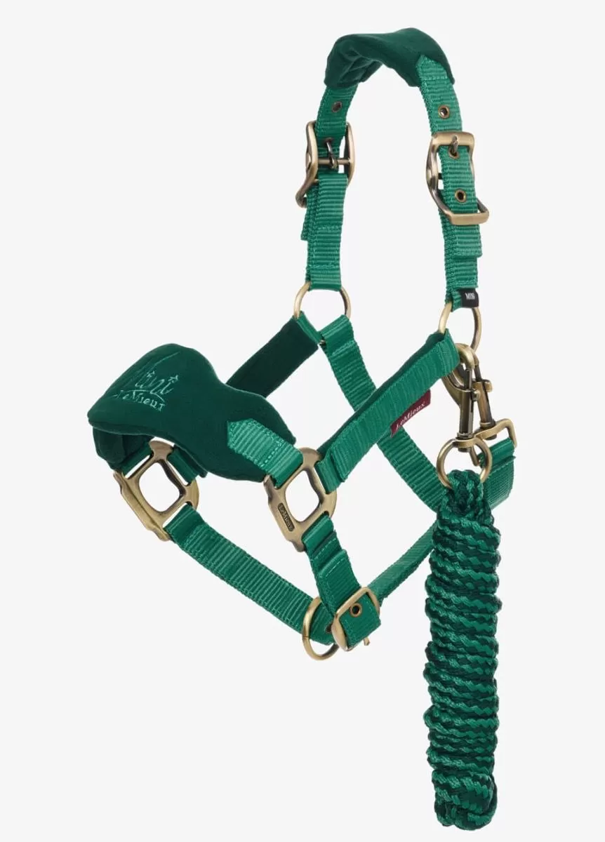 LeMieux Mini Vogue Headcollar & Leadrope - Evergreen 1 LeMieux Mini Vogue Headcollar & Leadrope - Evergreen