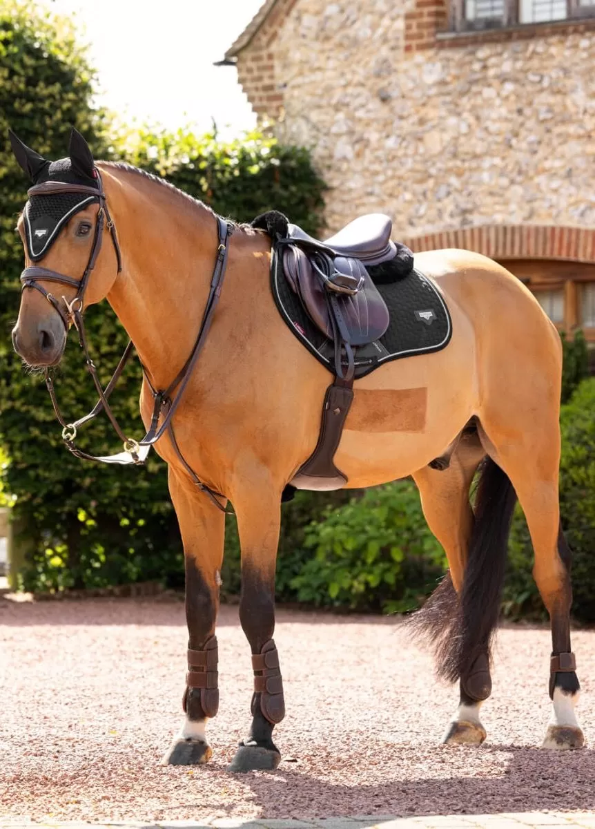 LeMieux Puissance CC Square - Black 1 LeMieux Puissance CC Square - Black