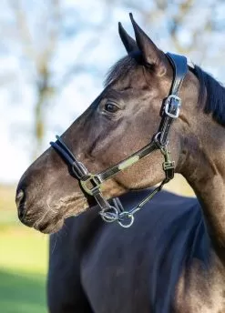LeMieux Rope Control Headcollar - Black