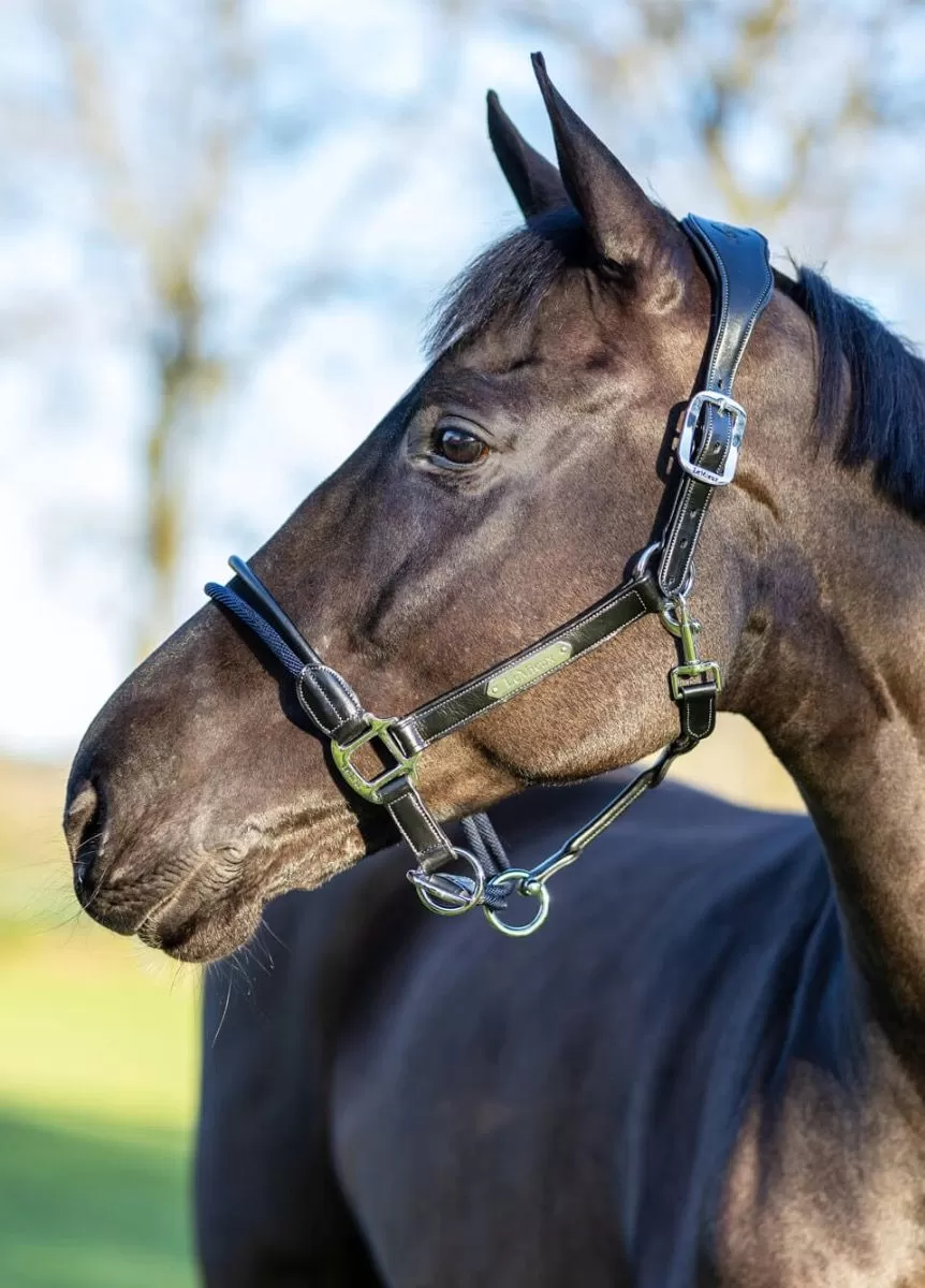 LeMieux Rope Control Headcollar - Black 1 LeMieux Rope Control Headcollar - Black