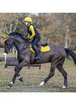 LeMieux Suede CC Square - Dijon -Equestrian Equipment Shop lmccdijon4rdy