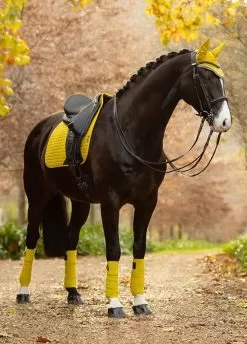 LeMieux Suede Dressage Square - Dijon 6 LeMieux Suede Dressage Square - Dijon -Equestrian Equipment Shop lmdressdijon3rdy