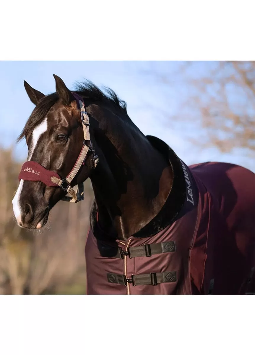 LeMieux Fleece Rug - Rioja 2 LeMieux Fleece Rug - Rioja - Image 2