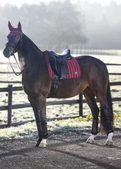 LeMieux Loire Classic Dressage Square - Rioja -Equestrian Equipment Shop lmloiredressrioja3rdy